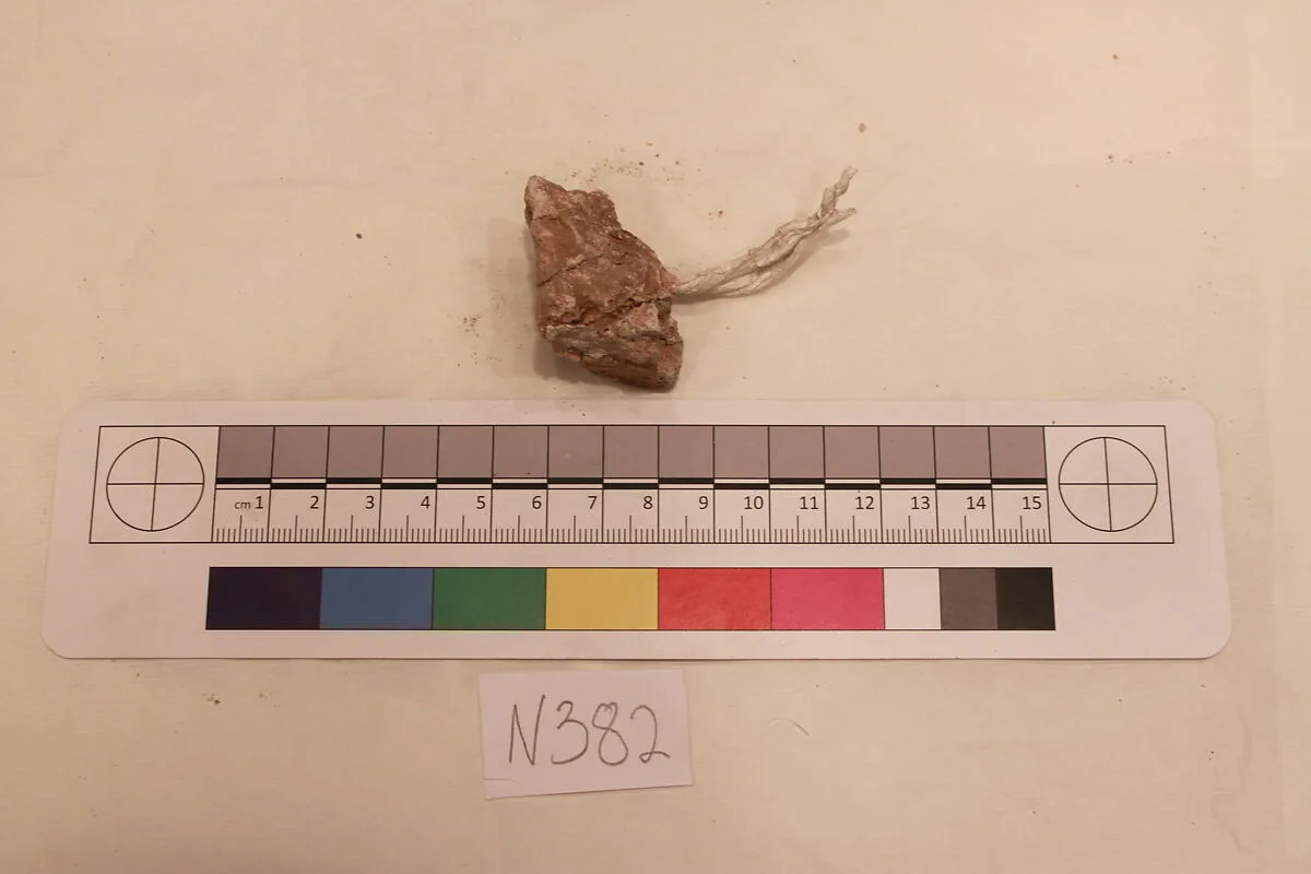 Stucco Fragment — Unknown