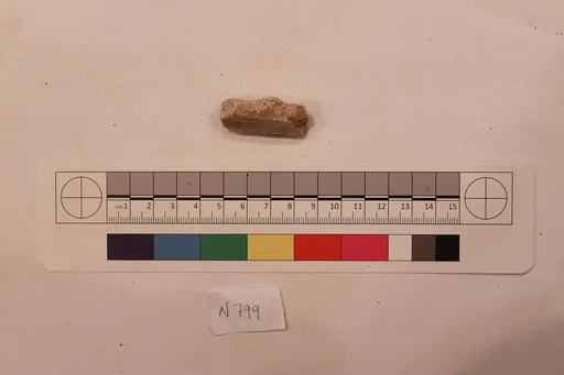 Stucco Fragment