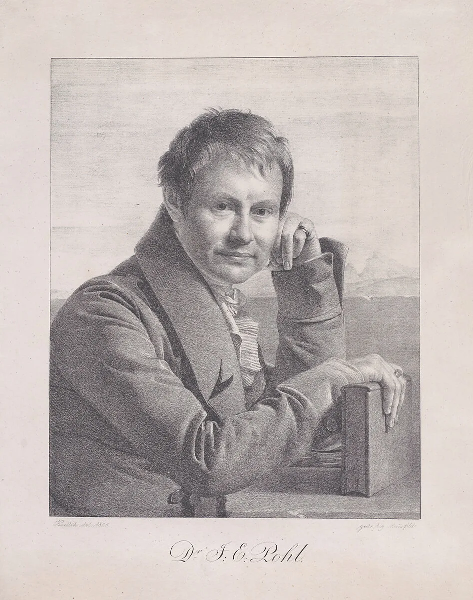 Portrait of Dr. J.E. Pohl — Franz Kadlik