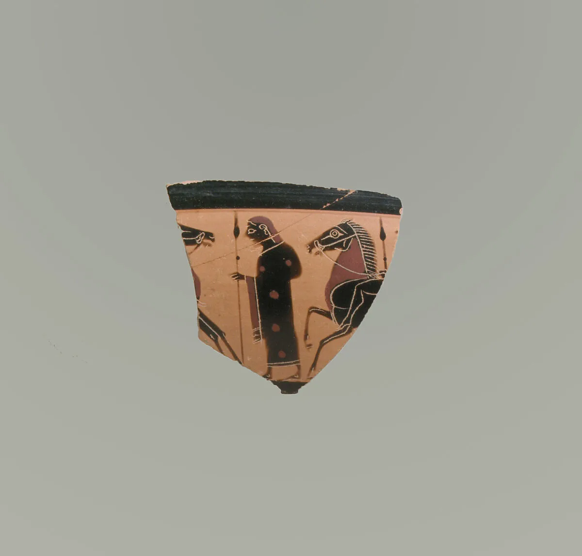 Fragment of a terracotta kylix: band-cup (drinking cup) — Amasis Painter