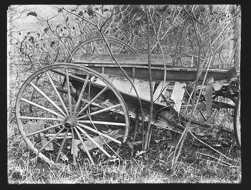 [Abandoned Wagon in Weeds, Somerstown Road, Ossining, New York]