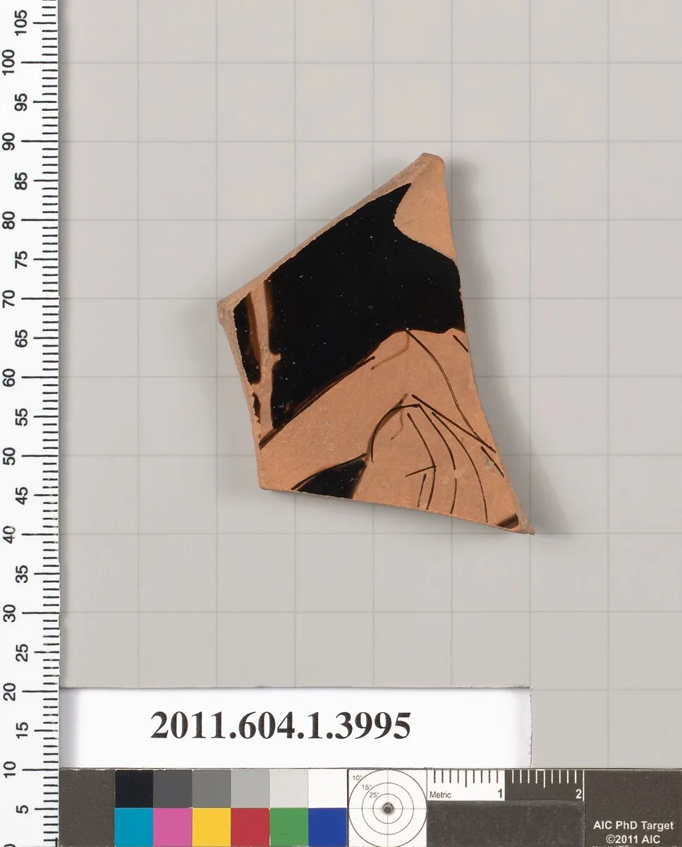 Terracotta fragment of a kylix (drinking cup) — Unknown