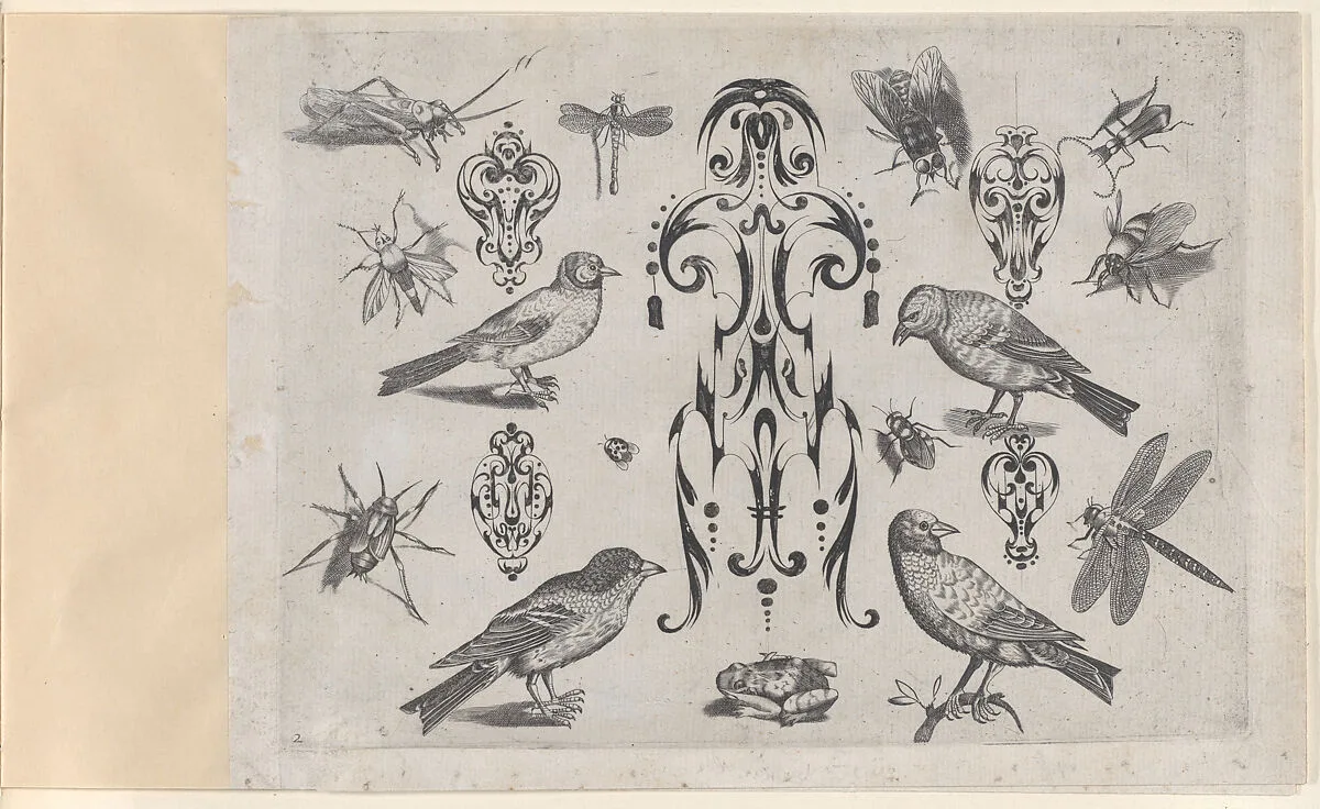 Blackwork Designs with Birds and Insects, Plate 2 from a Series of Blackwork Ornaments combined with figures, birds, animals and flowers — Jakob Hoefnagel|Jacques Callot|Meinert Gelijs