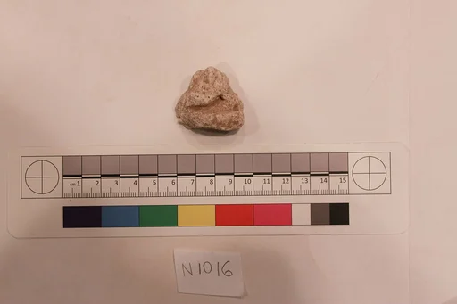 Stucco Fragment