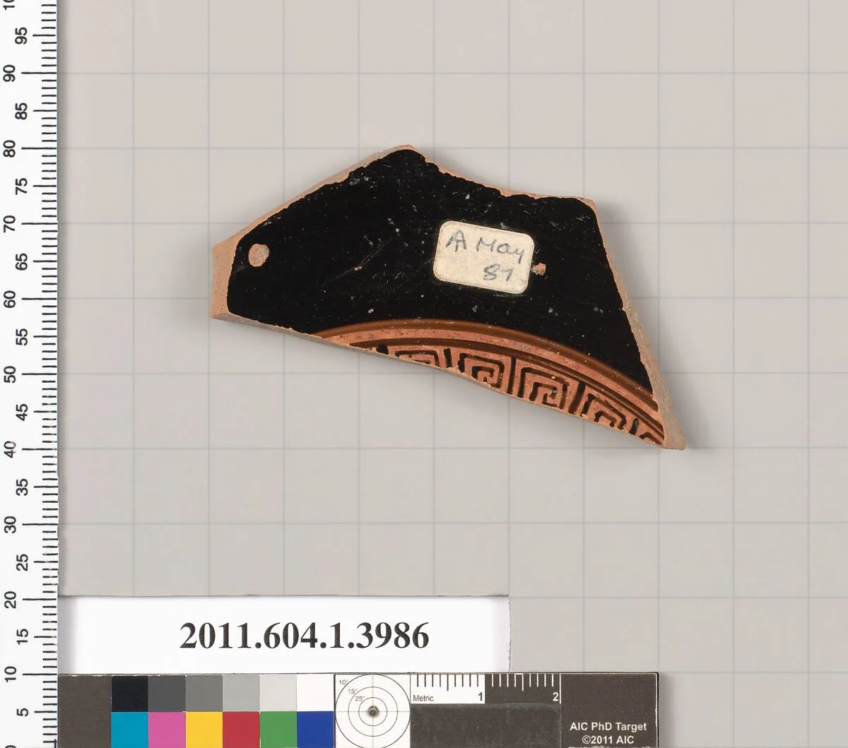 Terracotta fragment of a kylix (drinking cup) — Unknown