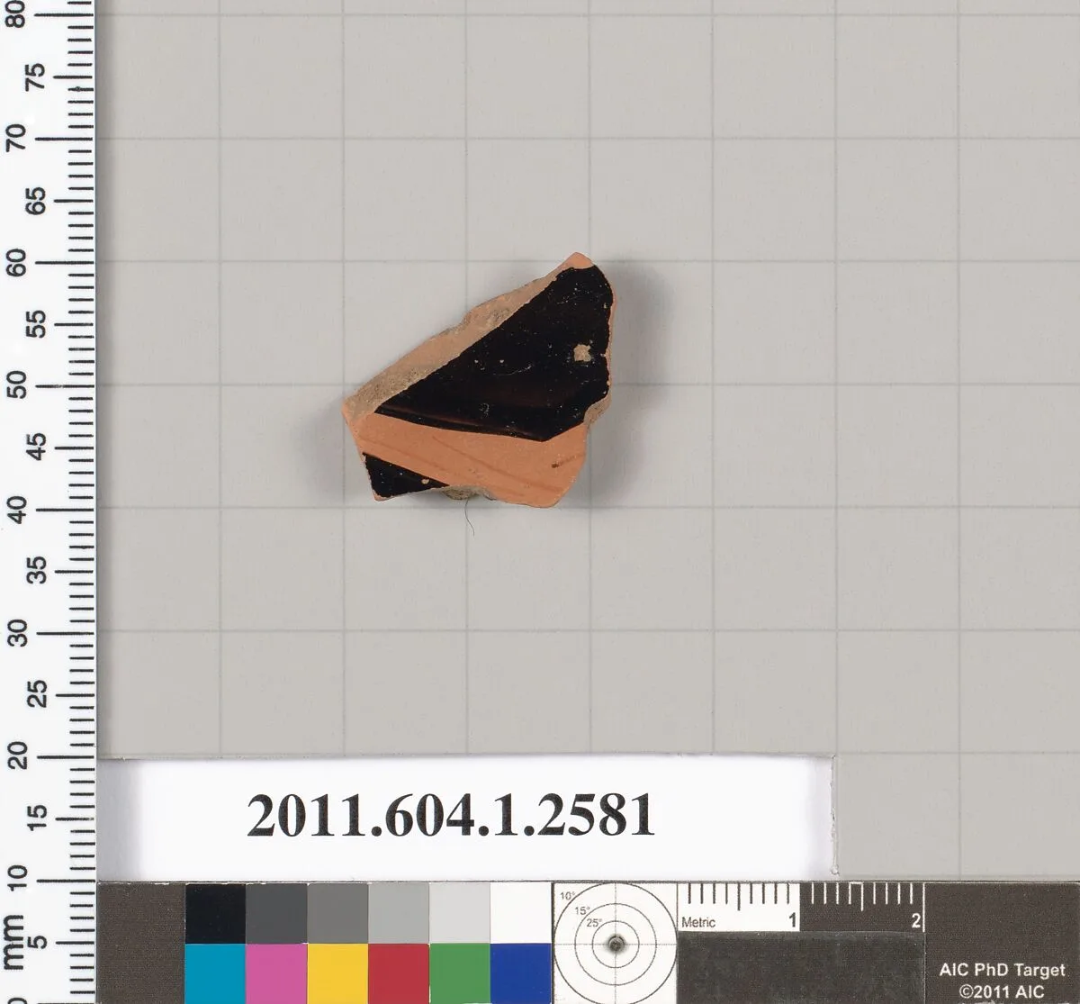 Terracotta fragment of a kylix (drinking cup) — Unknown
