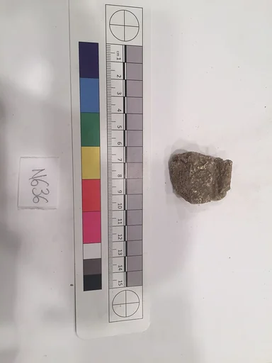Stucco Fragment