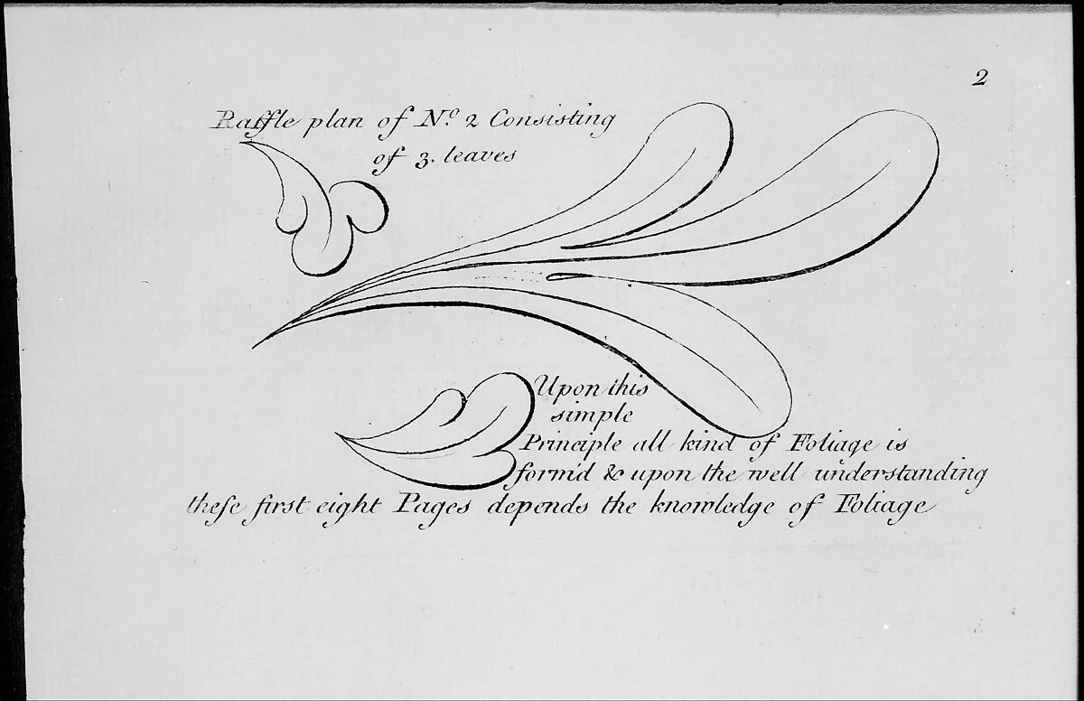 The Principles of Ornament, or the Youth's Guide to the Drawing of Foliage — Robert Sayer|Matthias Lock