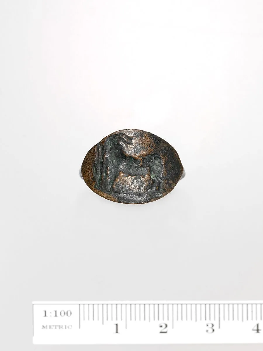 Bronze ring — Unknown
