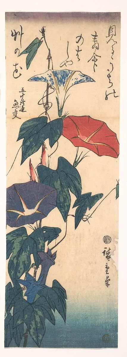 歌川広重画 朝顔|Morning Glories — Utagawa Hiroshige