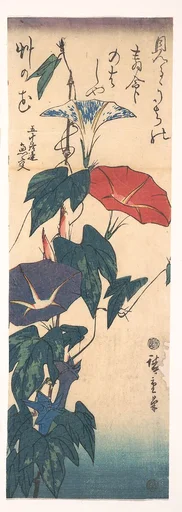 歌川広重画  朝顔|Morning Glories