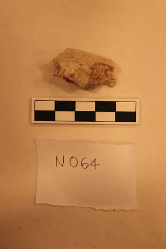 Stucco Fragment