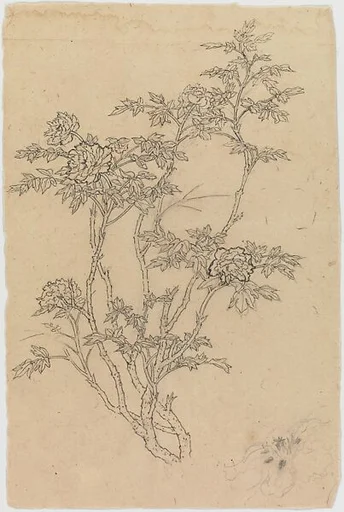 現代 謝稚柳 花卉畫稿 鏡片|Flower Studies