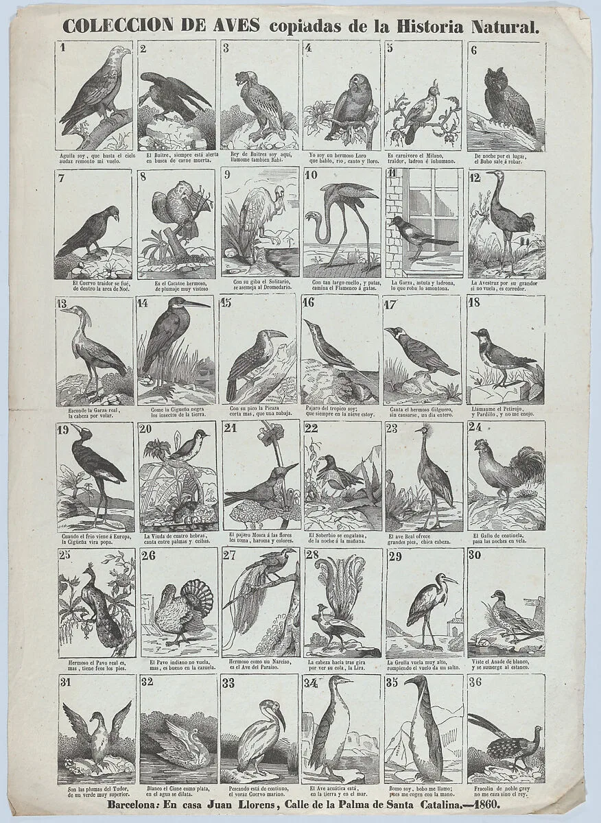 Broadside with images of 36 birds — Juan Llorens