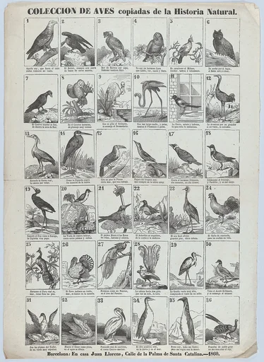 Broadside with images of 36 birds