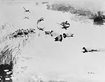 Ducks in Calm Water — Frank W. Benson