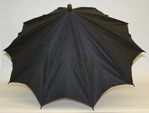 Umbrella — Briggs & Sons, London