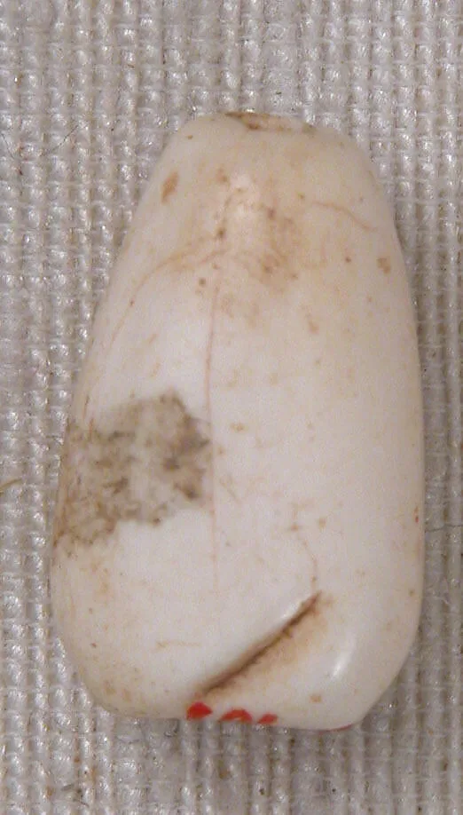 Bead — Unknown