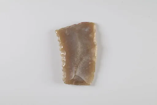 Sickle Insert