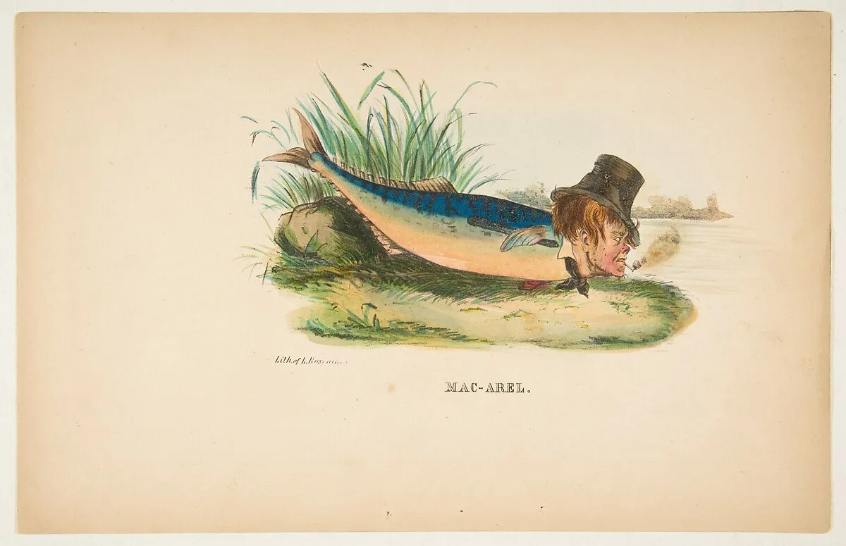 Mac-Arel, from The Comic Natural History of the Human Race — Samuel Robinson|Henry Louis Stephens|Rosenthal