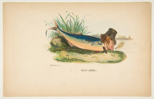 Mac-Arel, from The Comic Natural History of the Human Race