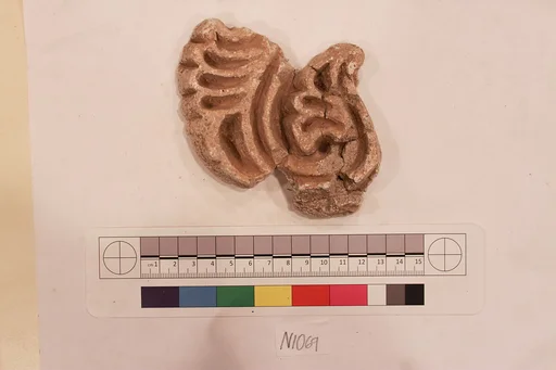 Stucco Fragment