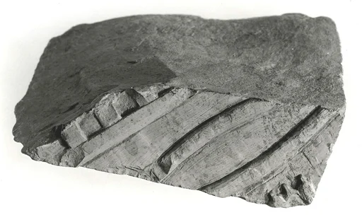 Raised relief fragment