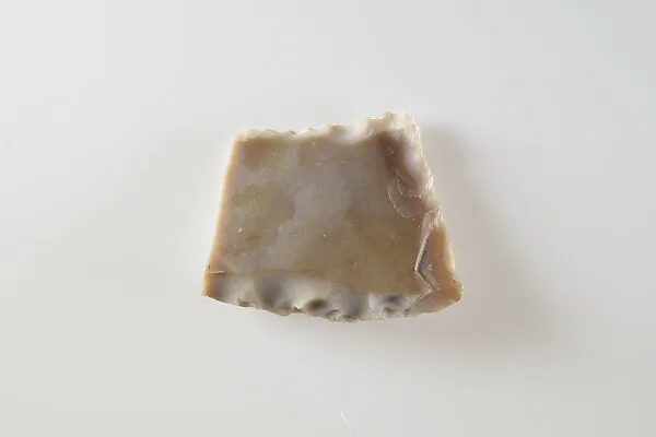 Sickle Insert Fragment — Unknown