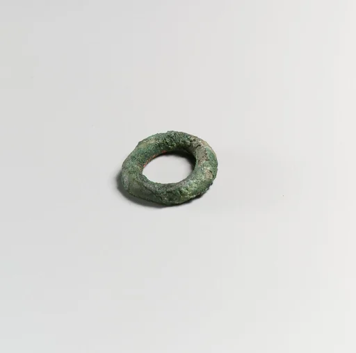 Fragments of a cart or chariot, rings