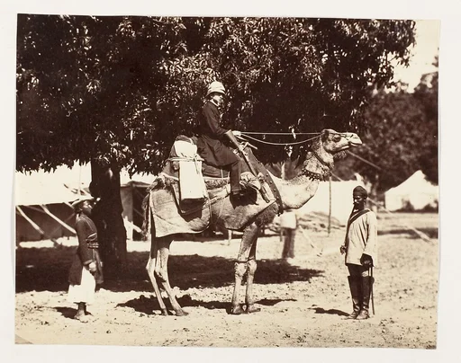 [J.C.S. on a Riding Camel]