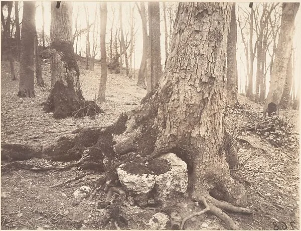 Parc de Saint-Cloud, Paris — Eugène Atget