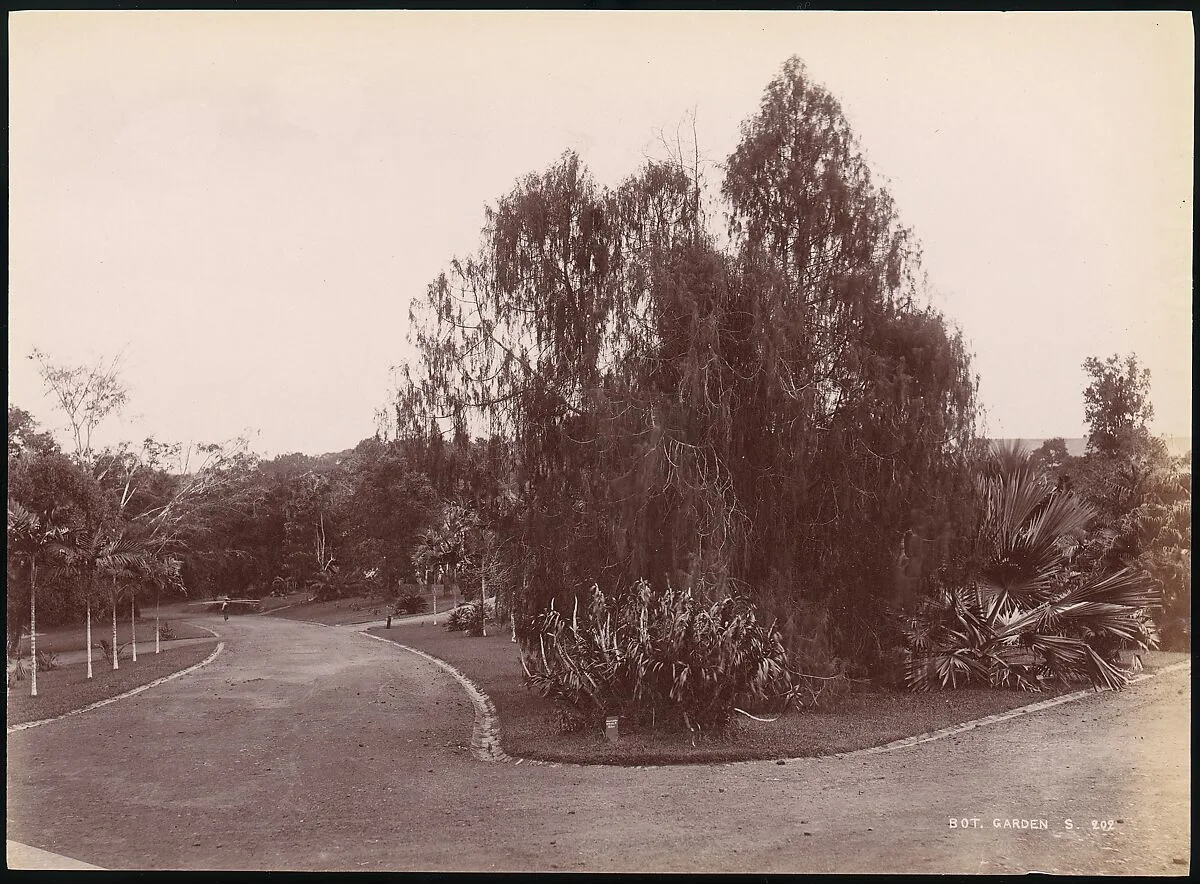 Botanical Garden — Unknown