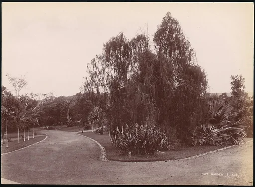 Botanical Garden