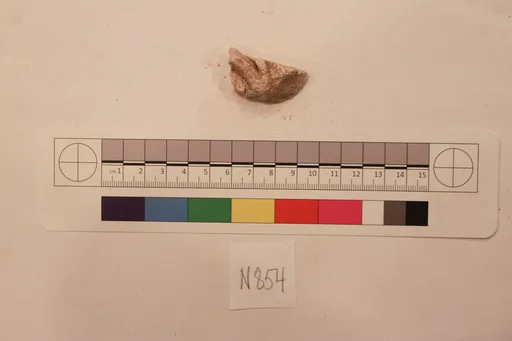 Stucco Fragment