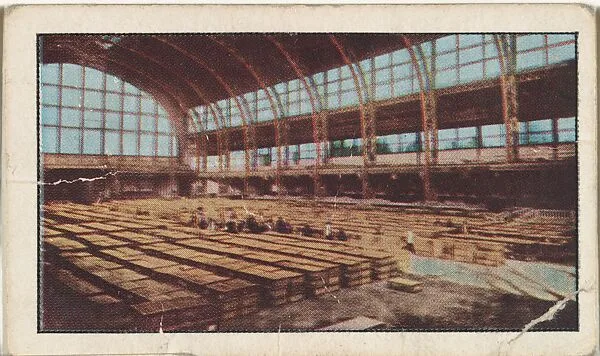 Card No. 142, Thousands of Cratesful of Carrier Pigeons Seized by Germans, from the World War I Scenes series (T121) issued by Sweet Caporal Cigarettes — American Tobacco Company|Underwood & Underwood