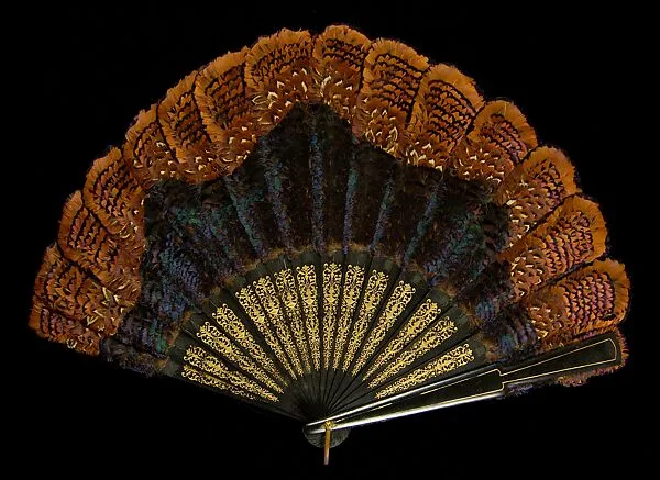 Fan — Unknown