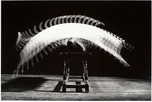 [Stroboscopic Motion Study of Cat Jumping Over Piano Bench]