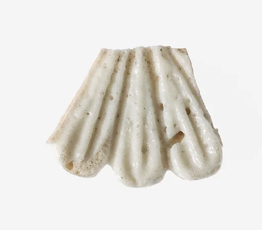 Fragment of a Daisy Bead