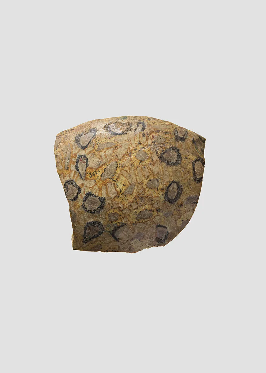 Dish — Unknown