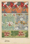 Orchidées (Orchids), pl. 29 — A. Calavas|Emile-Allain Séguy