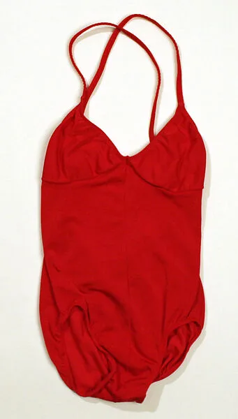 Leotard — Bonnie August|Danskin|Milliken