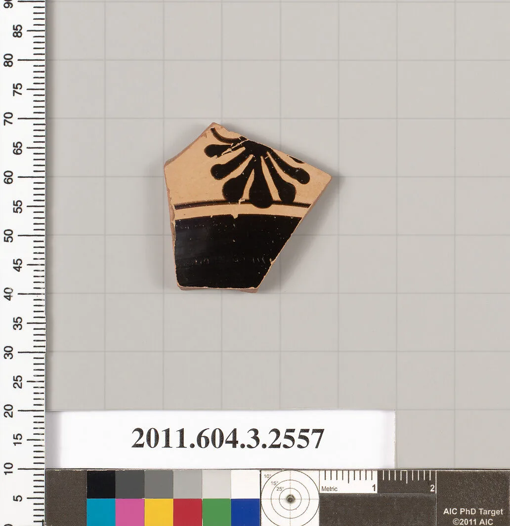 Terracotta fragment of a kylix (drinking cup) — Unknown