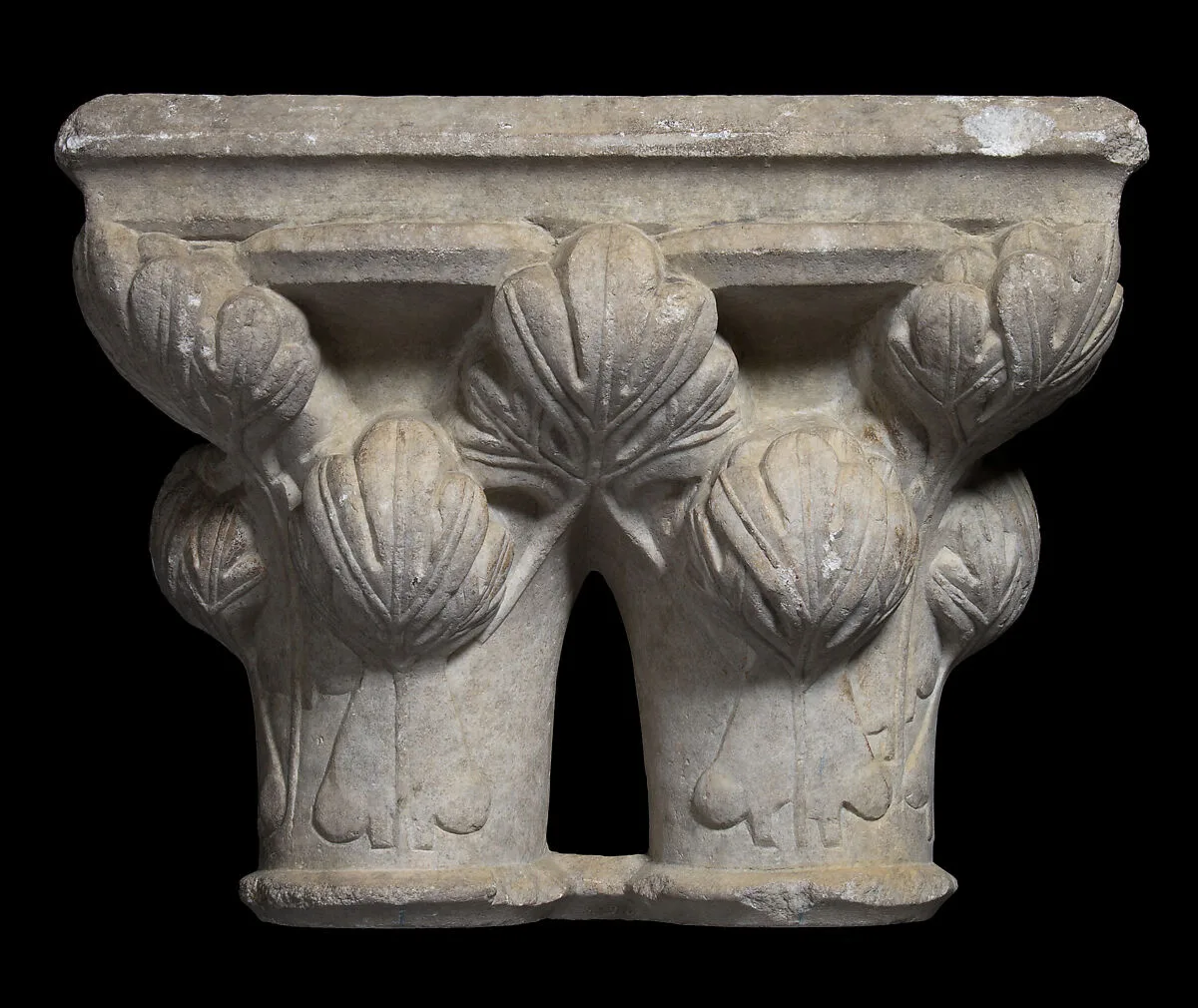 Double Capital — Unknown