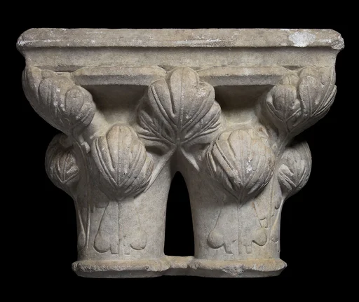 Double Capital