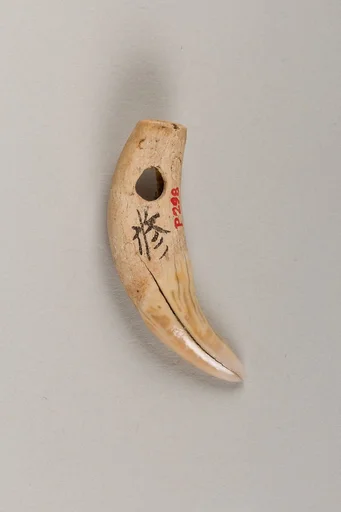 装身具|Body ornament