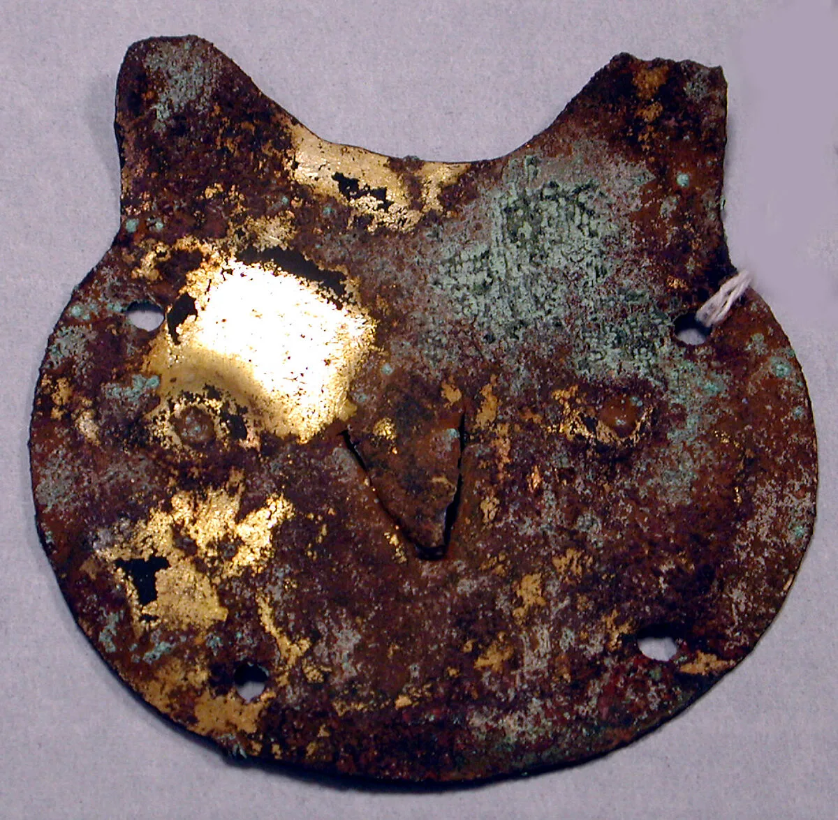 Copper Animal Plaque — Unknown