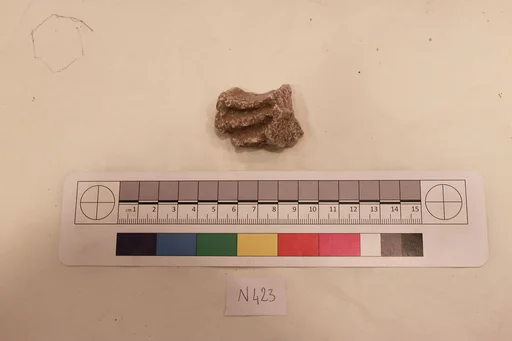 Stucco Fragment
