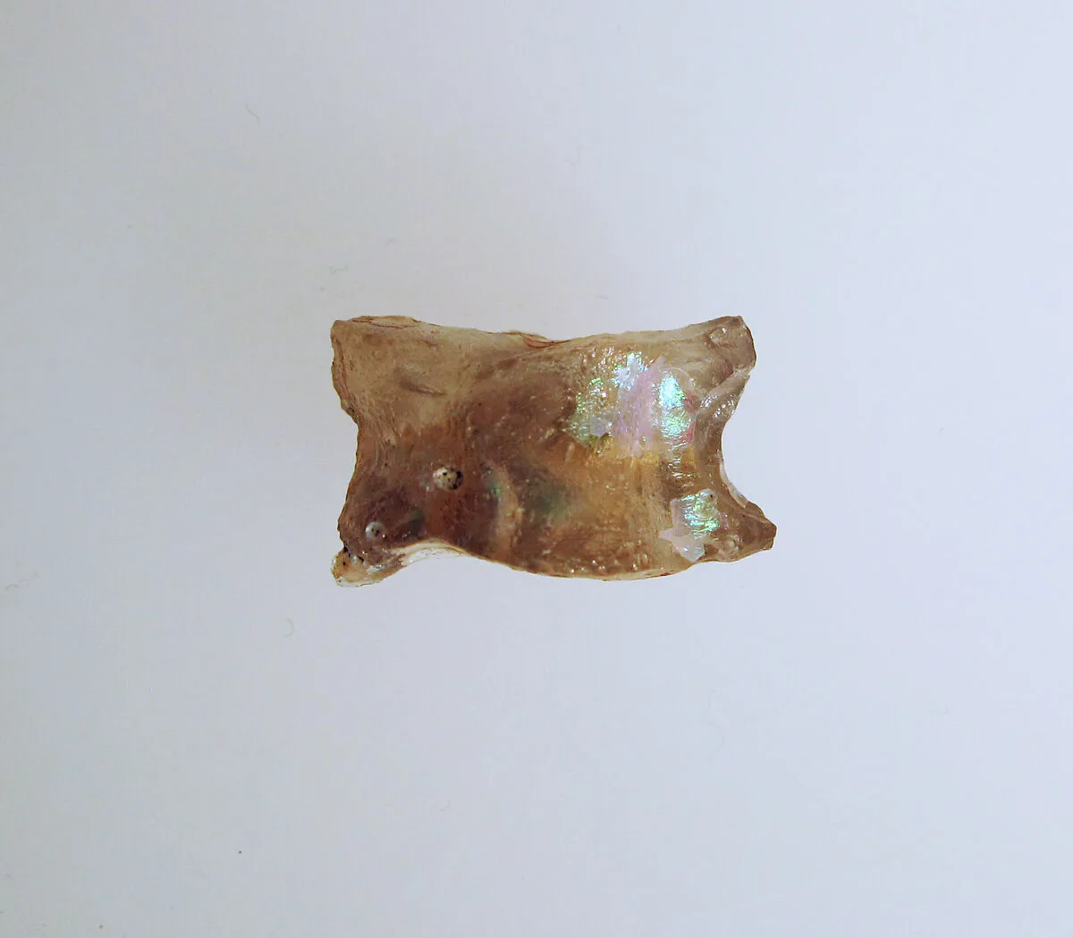 Glass astragal (knucklebone) — Unknown