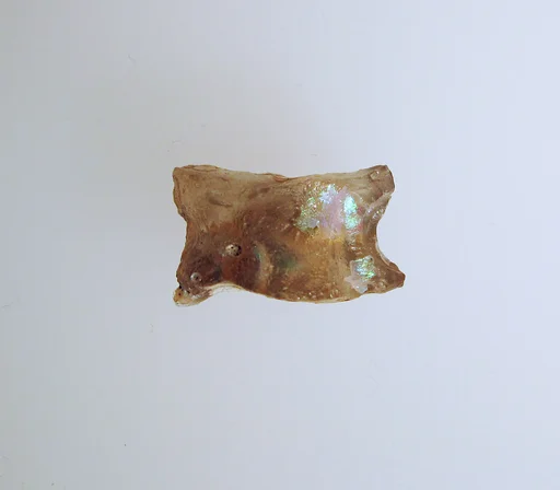 Glass astragal (knucklebone)