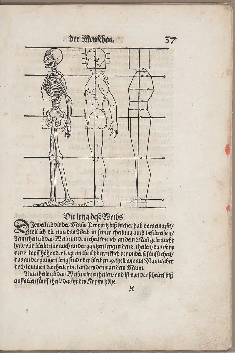 Des Circkels unnd Richtscheyts, auch der Perspectiva und Proportion der Menschen und Rosse, kurtze, doch gründtliche underweisung deß rechten gebrauchs — Heinrich Lautensack|Georg Rab|Sigmund Feyerabend and Heinrich Lautensack